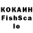Cocaine Fish Scale indexsa