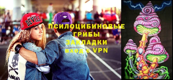 молекула духа Снежинск