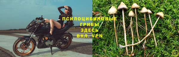 метадон Арсеньев