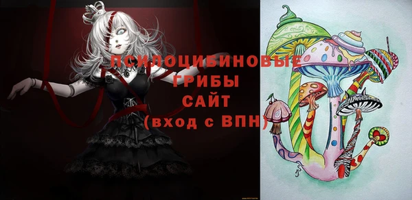 метадон Арсеньев